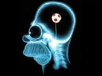 Футбольный ум